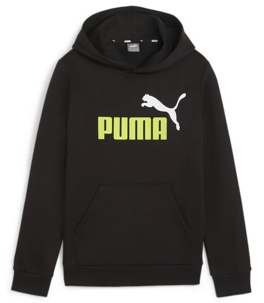 Puma Logo Hoodie